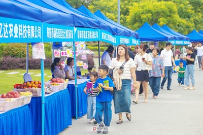 乐购颍东 商贸新引擎，点亮阜阳消费新图景